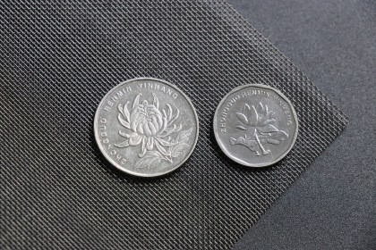 Nickel6 0.2mm 30mesh